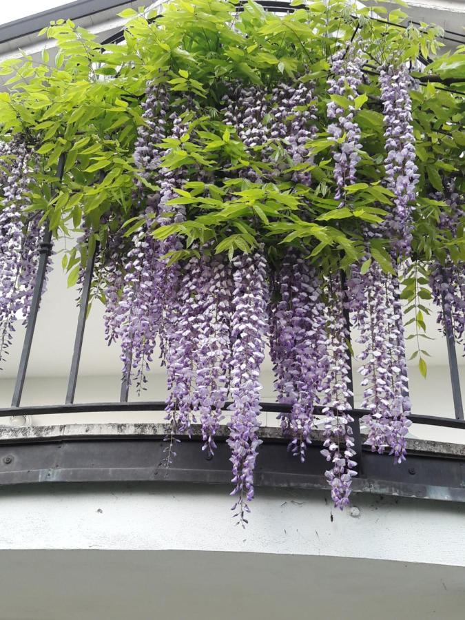 Villetta Il Glicine 曼托瓦诺港 外观 照片